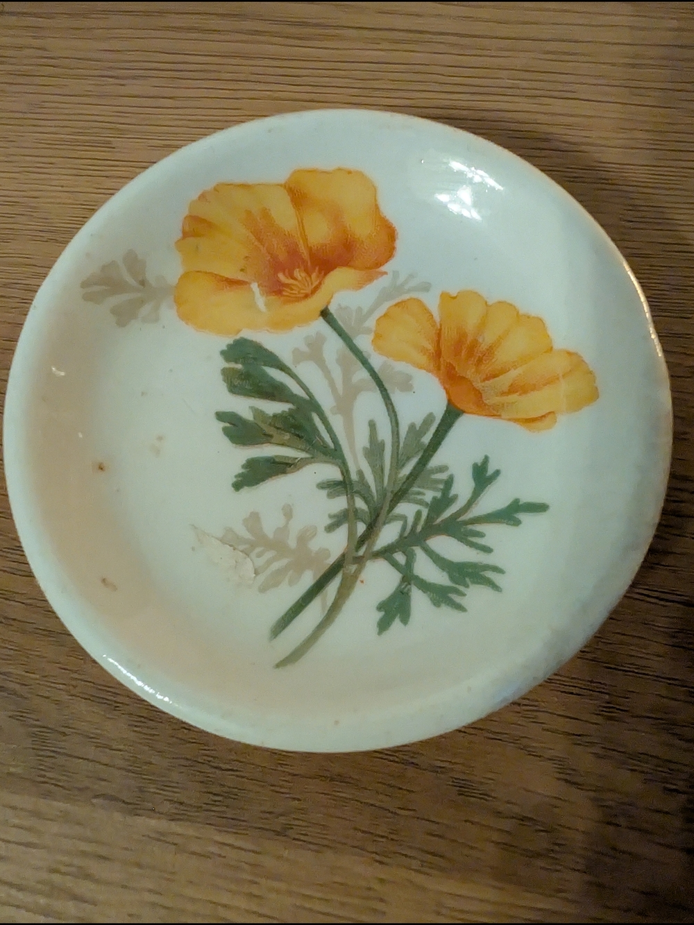 Chunky Restaurant Style 3.25" Butterpat